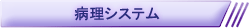 病理システム